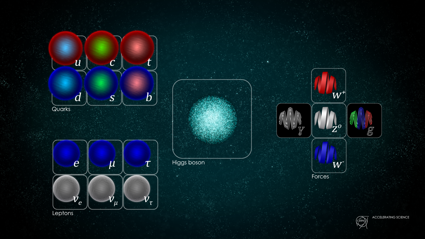 Stanard model of particle physics, including the quarks, leptons, exchange bosons and Higgs boson