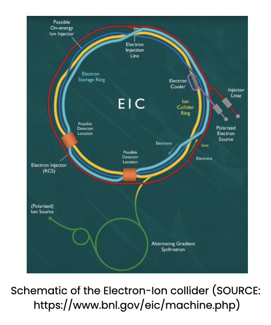 Electron-ion collider, showing how the polarised electron and ion sources enter the ring of the collider