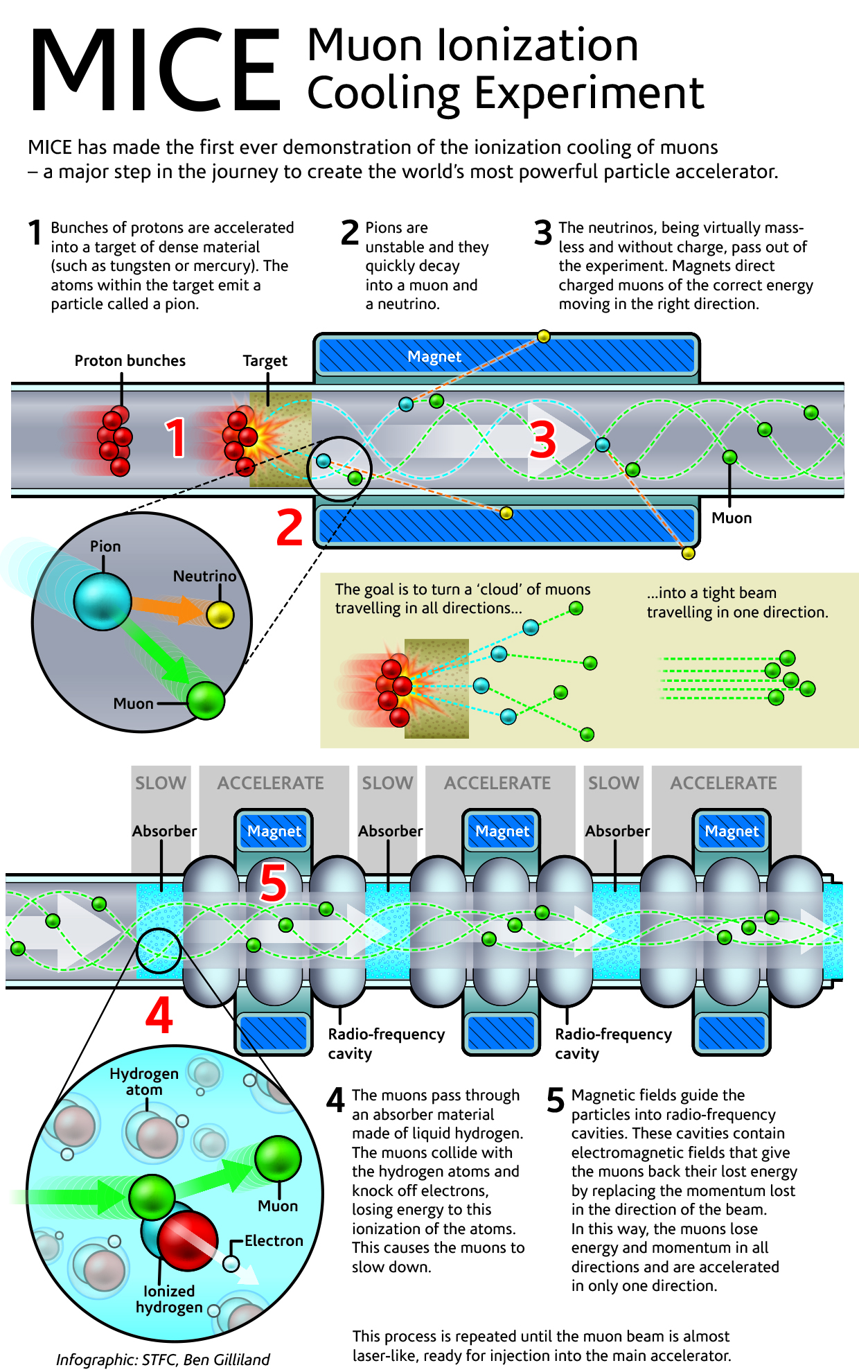 MICE infographic FINAL.jpg