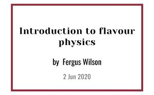 Introduction to flavour physics.jpg