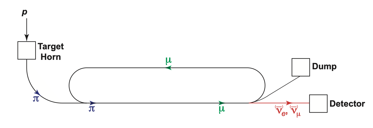 Diagram showing particle production and decay in nuSTORM, described in caption below